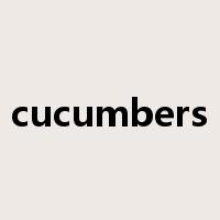 cucumbers是什么意思