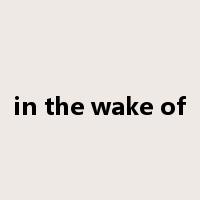 in the wake of是什么意思