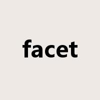 facet是什么意思