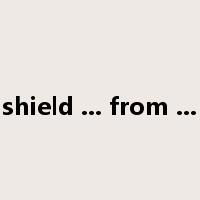 shield ... from ...是什么意思