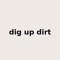 dig up dirt是什么意思