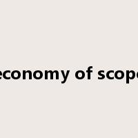 economy of scope是什么意思