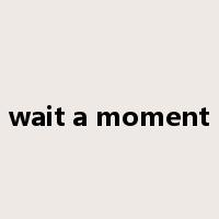 wait a moment是什么意思