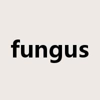 fungus是什么意思