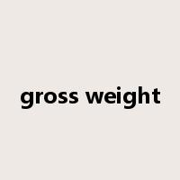 gross weight是什么意思