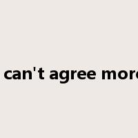 i can't agree more是什么意思