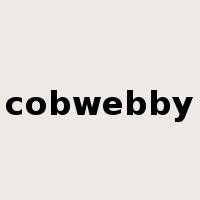 cobwebby是什么意思