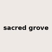 sacred grove是什么意思