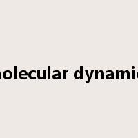 molecular dynamics是什么意思