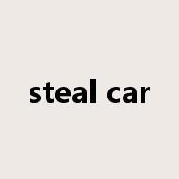 steal car是什么意思