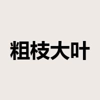 粗枝大叶是什么意思