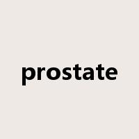 prostate是什么意思