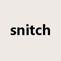 snitch是什么意思