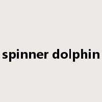 spinner dolphin是什么意思