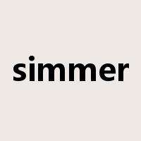 simmer是什么意思
