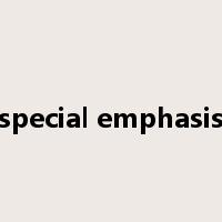 special emphasis是什么意思