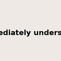 immediately understand是什么意思