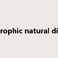 catastrophic natural disaster是什么意思