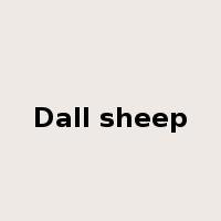 Dall sheep是什么意思