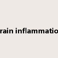 brain inflammation是什么意思