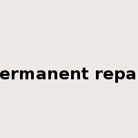 permanent repair是什么意思
