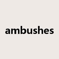 ambushes是什么意思