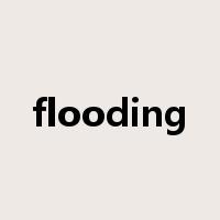 flooding是什么意思
