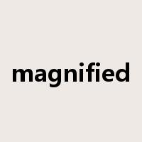 magnified是什么意思
