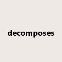 decomposes是什么意思