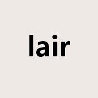 lair是什么意思