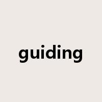 guiding是什么意思