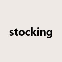 stocking是什么意思