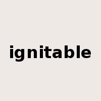 ignitable是什么意思