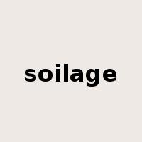 soilage是什么意思