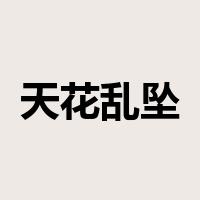 天花乱坠是什么意思