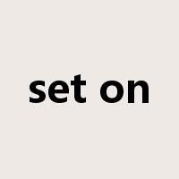 set on是什么意思
