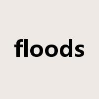 floods是什么意思