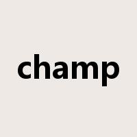 champ是什么意思