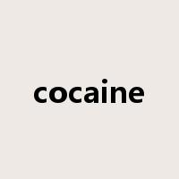 cocaine是什么意思