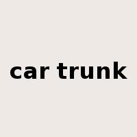 car trunk是什么意思