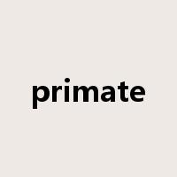 primate是什么意思