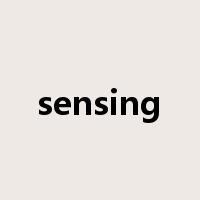 sensing是什么意思