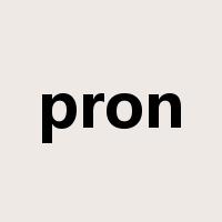 pron是什么意思