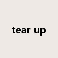 tear up是什么意思
