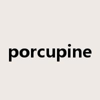 porcupine是什么意思