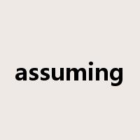 assuming是什么意思