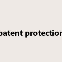 patent protection是什么意思