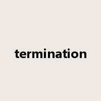 termination是什么意思