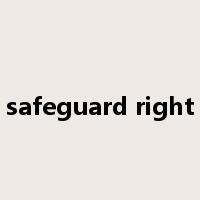 safeguard right是什么意思