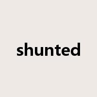 shunted是什么意思